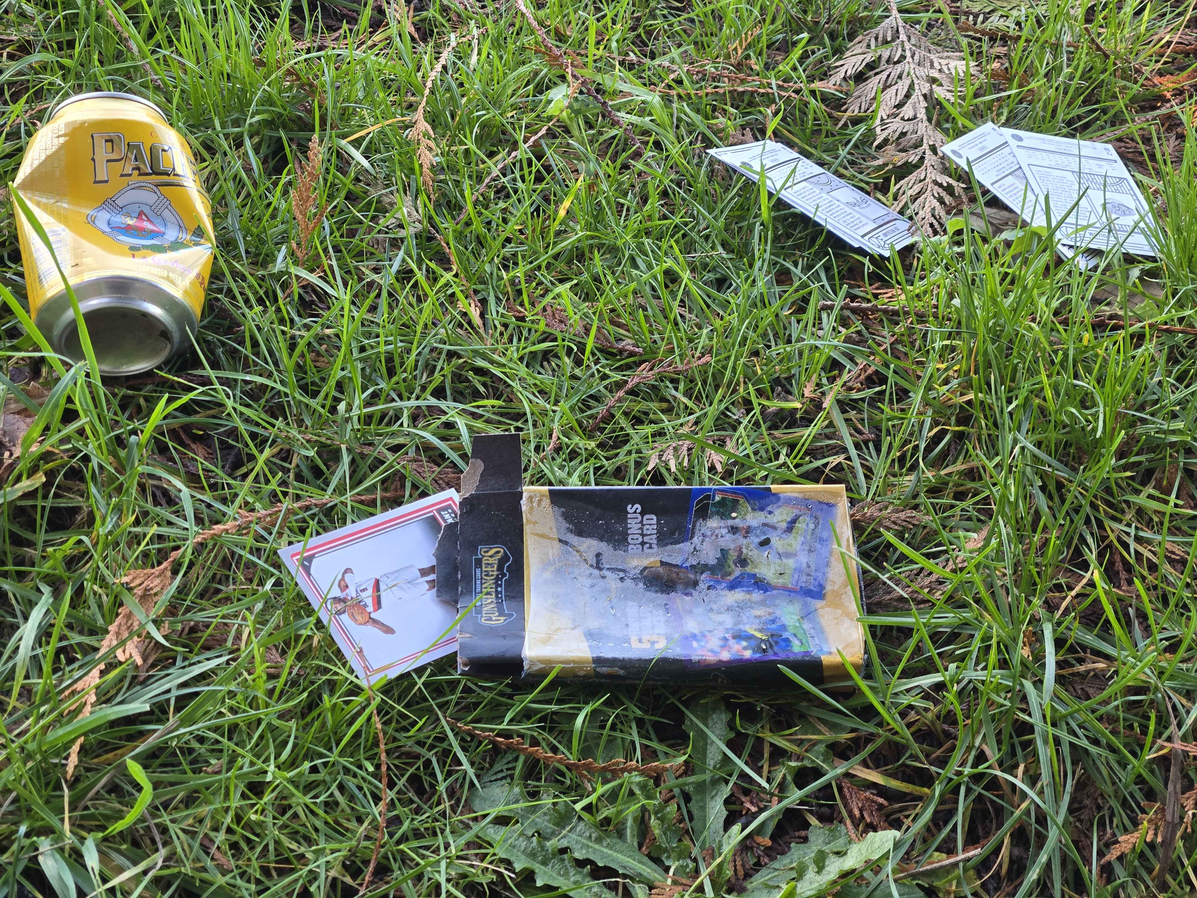 Wet cards in grass